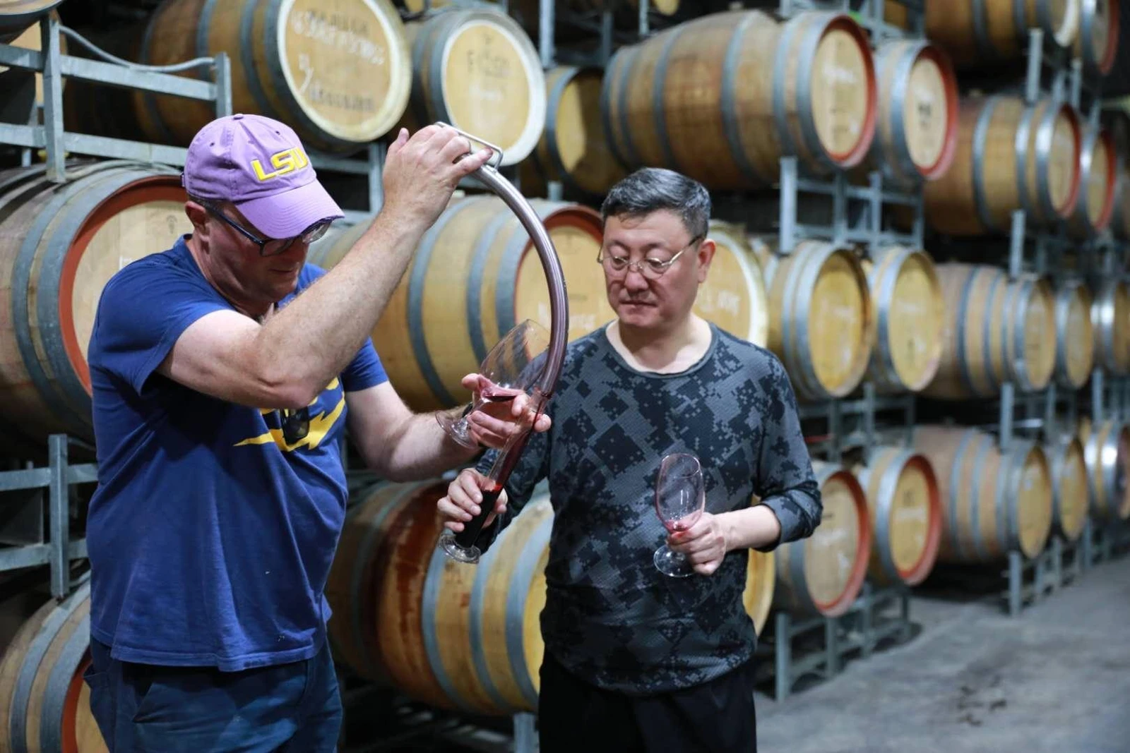 韩磊在天鹅庄酒窖中品鉴葡萄酒